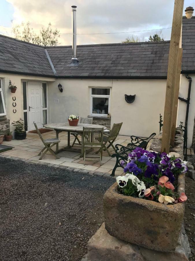 Tracey'S Farmhouse Cottage Belfast Dış mekan fotoğraf